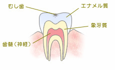 いそべ歯科クリニック府中市