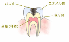 いそべ歯科クリニック府中市