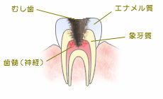 いそべ歯科クリニック府中市